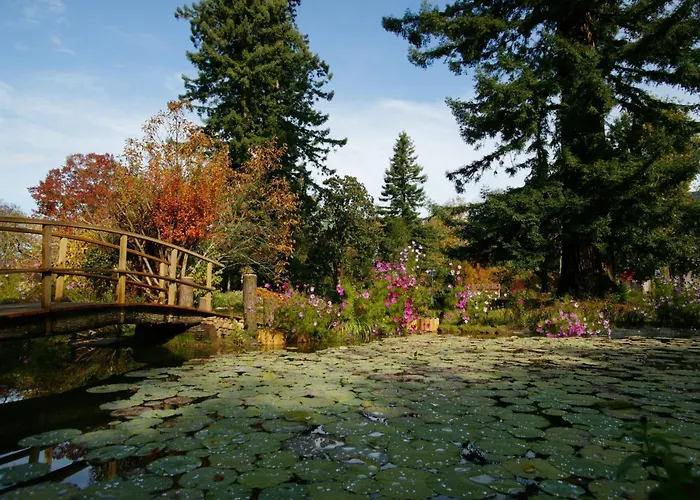 Le Manoir De Bellerive فندق